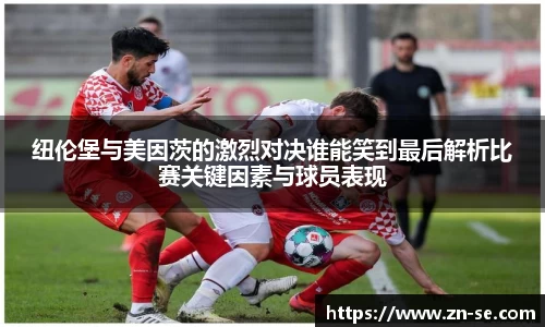 智博19
