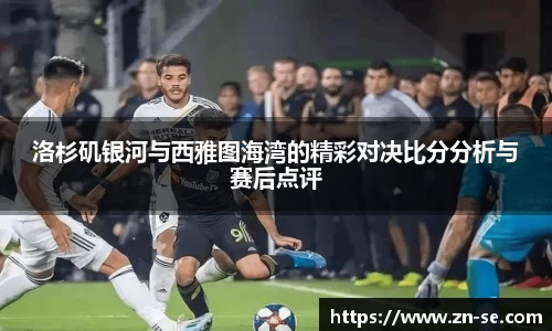智博19有限公司
