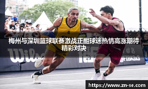 智博19