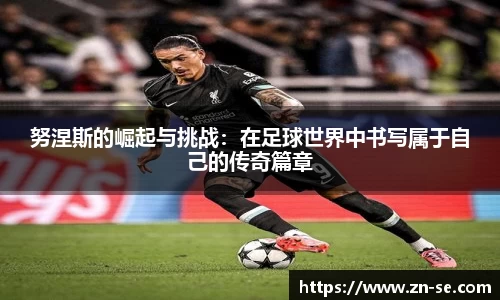 智博19有限公司