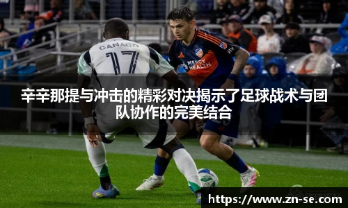 智博19