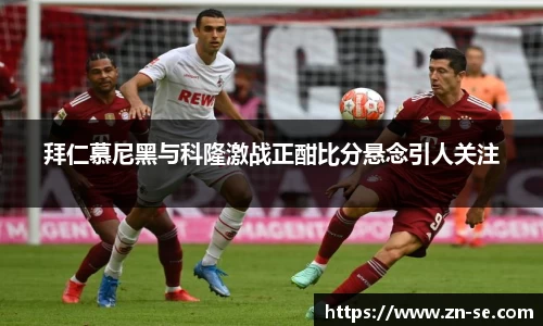 智博19有限公司